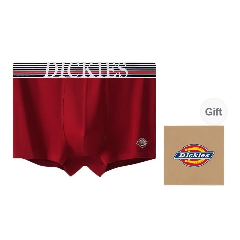 Dickies Underpants Men's Combo Set-12