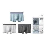 멀티컬러 줄무늬 (3팩 세트)