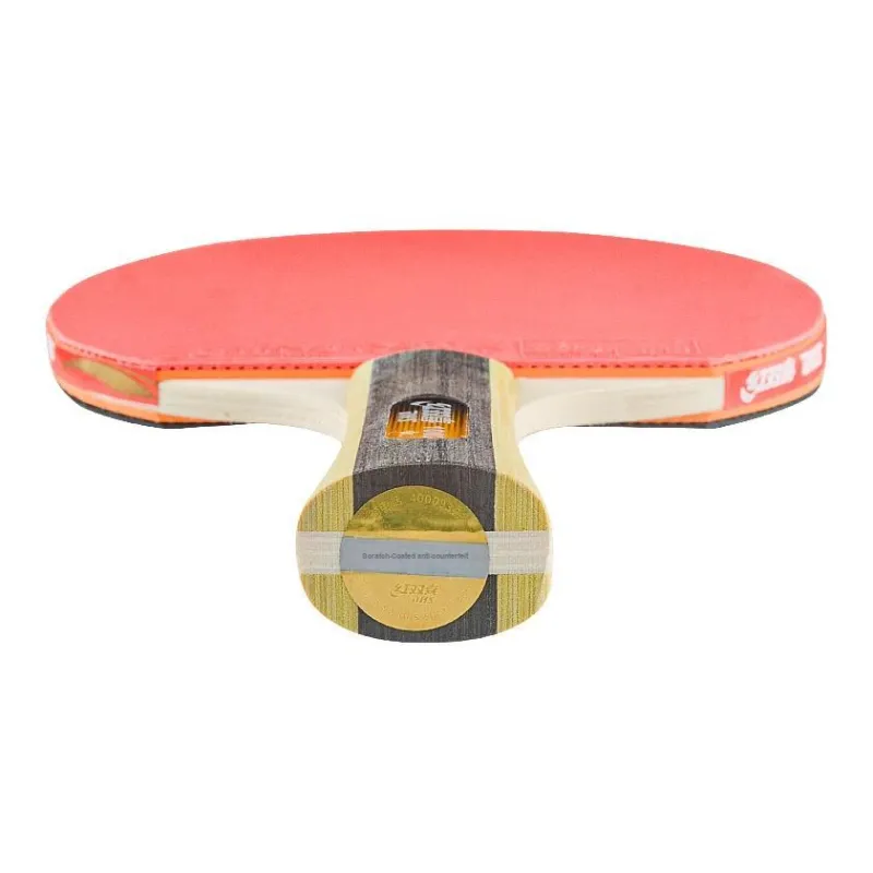 DHS Ping Pong Paddles-2