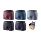 Dark Gray+Dark Gray+Red Coffee+Gray Blue+Eyeshadow Gray (Box of 5 Pcs)