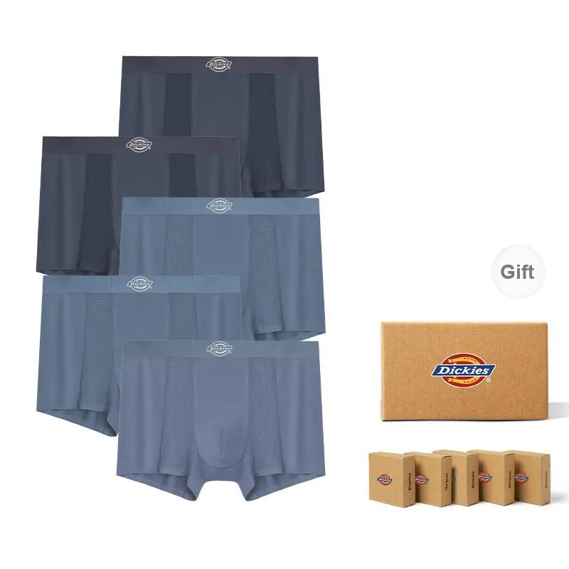 Dickies Underpants Men's Skin Friendly Minimalist Style Comfortable Modal Boxer Shorts Box Combo Set-17