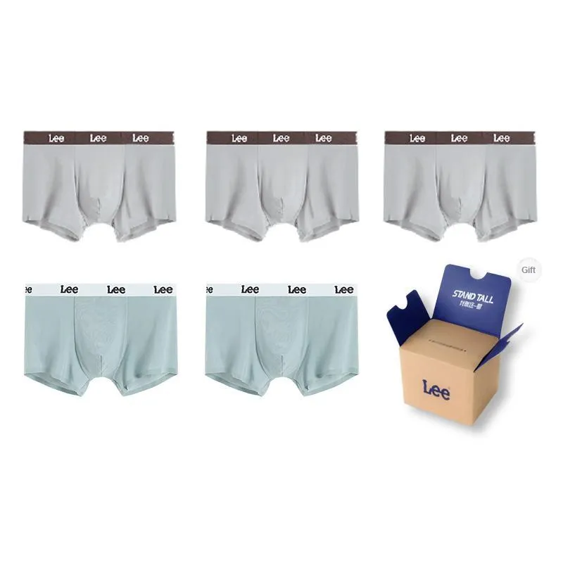 Lee Hui Guang II Generation Underpants Men's Box 5 Pack-6