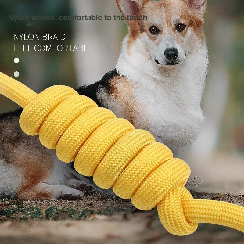 HISTOTREE Leashes-2