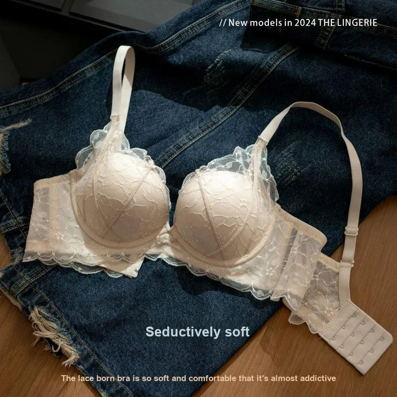David Women's Bras-14