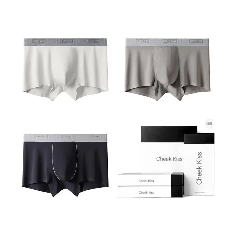 Cheekkiss Underwear Gift Box Men's Box 3 Pack-7