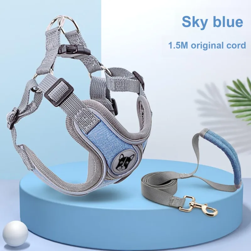 Kimpets Leashes-1