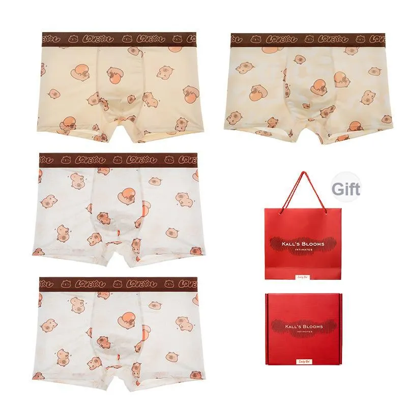 Maiden House Underwear Gift Box Men's 4 Pack-6