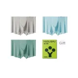 3 Pack (Light Gray+Sky Blue+Fruit Green)