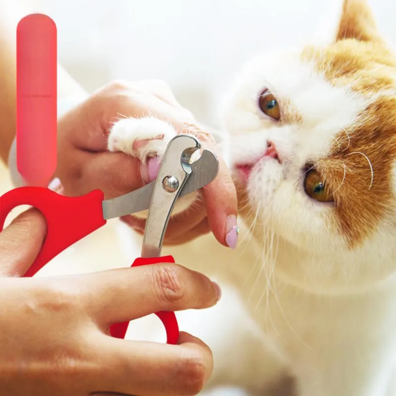 Kimpets Cat And Dog Combs & Flea Combs-2