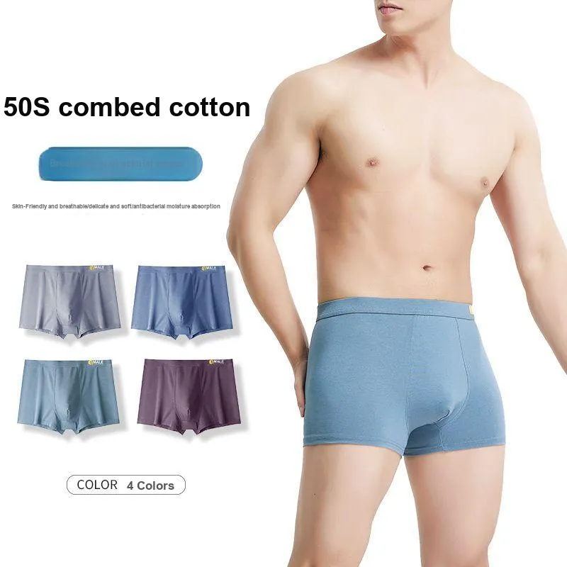 XISHE Underpants Men's Combo Set-2