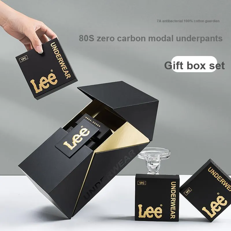 Lee Men Underpants-1