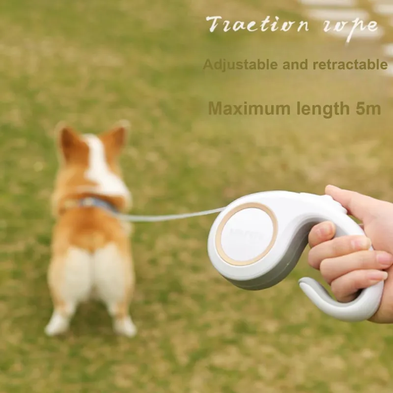 Kimpets Pet Leashes For Dog Walking-6