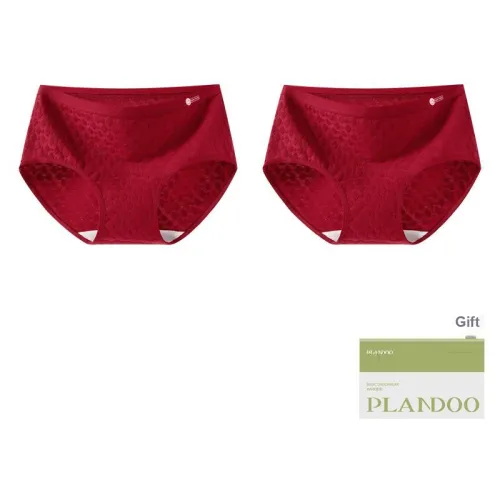 PLANDOO Underpants Women's Shopping Bag 2 Pack