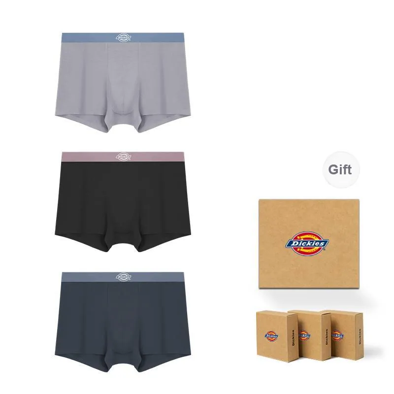 Dickies Underpants Men's Box 3 Pack-43