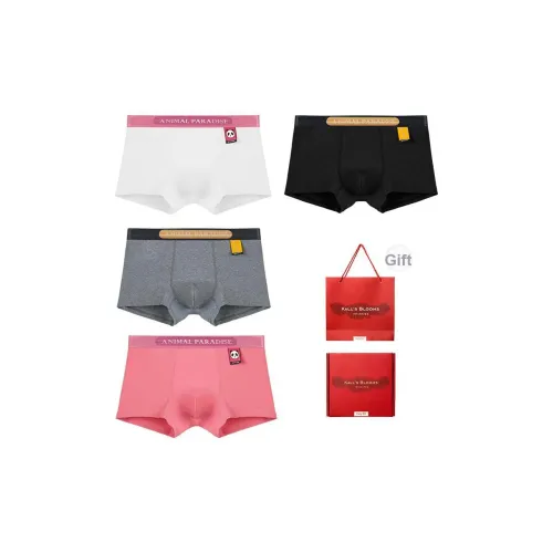 Maiden House Нижнее белье Подарочная коробка Мужской 4 шт