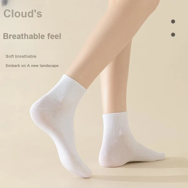 Montagut Mid Calf Socks Women's Box 6 Pack-31