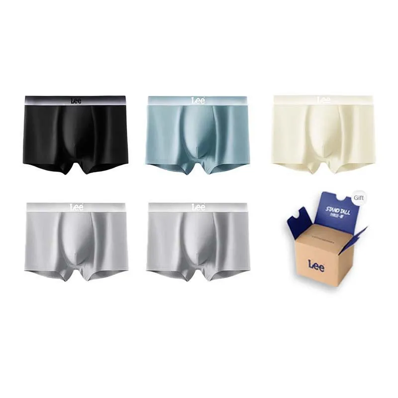 Lee Sunset 4.0 Underwear Gift Boxes Men's 5 Pack-3