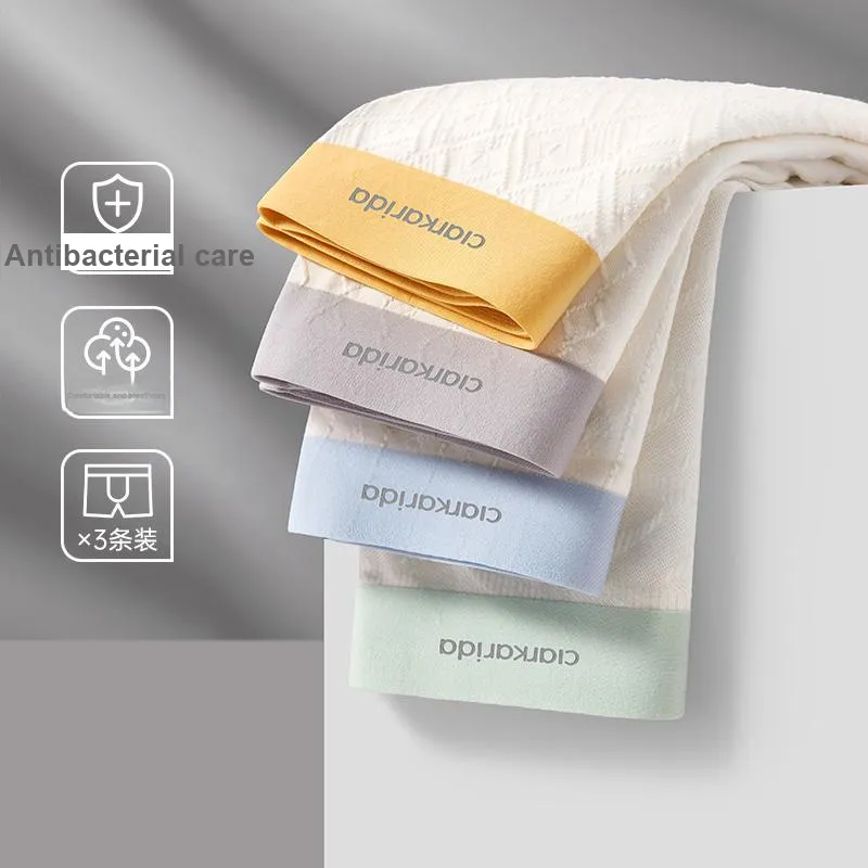 Clarkarida Underpants Men's Box 3 Pack-2