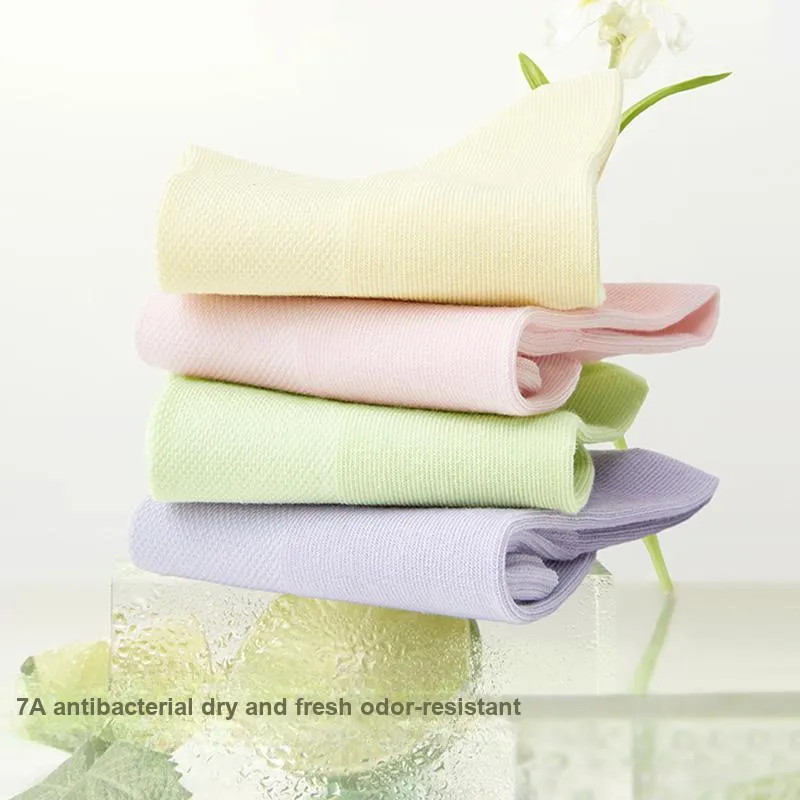 B&C.Room Mid Calf Socks Women's 8 Pack-5
