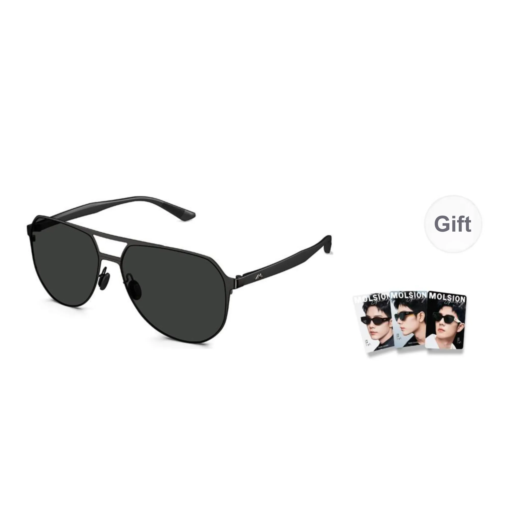 MOLSION TR/Memory Plastic Stainless Steel Aviator Sunglasses Men's