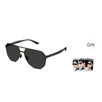 MOLSION TR/Memory Plastic Stainless Steel Aviator Sunglasses Men's