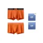 279 Orange+004 Orange