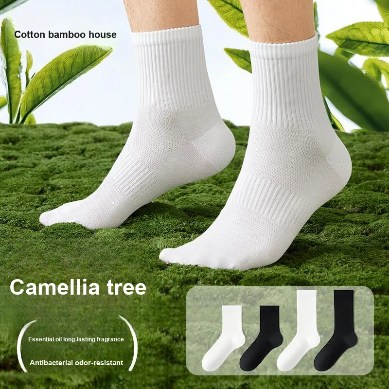 B&C.Room Mid Calf Socks Men's 5 Pack-1