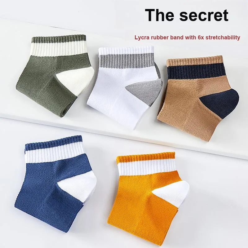 Lanza Men Socks-2