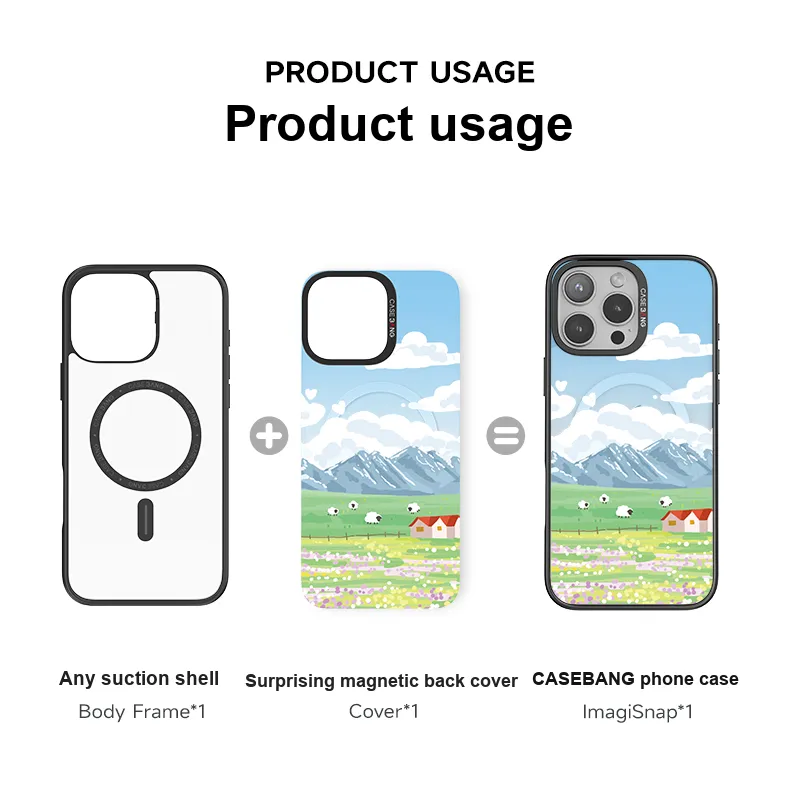 CASEBANG Phone Cases-3