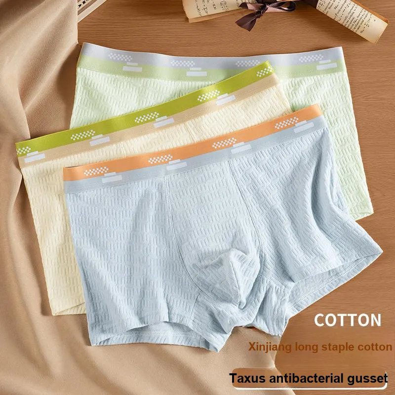 AUGTARLION Underpants Men's 3 Pack-1