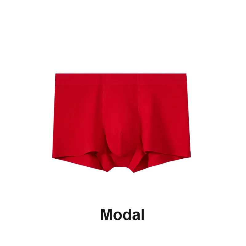 Icolor Men Underpants-3