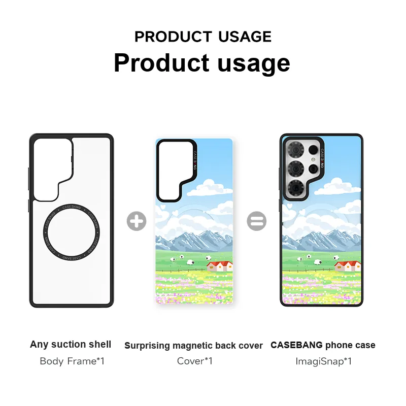 CASEBANG Phone Cases-3