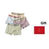 (4 Pack) Cloud Gray, Yellow Green, Light Apricot, Pink Cameo Brown