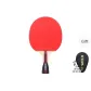 Four-Star PA8004C[Long Handle Shakehand Grip*1]
