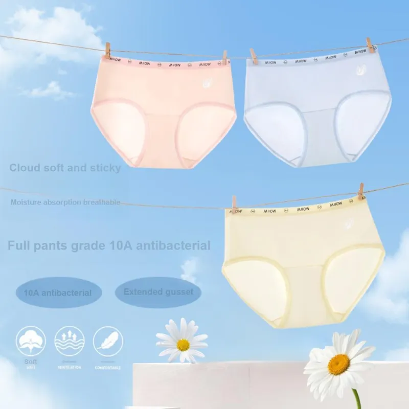 MIIOW Underpants Women's 4 Pack-1