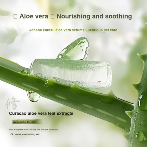 FALANQE Средства для увлажнения лица и кремы Унисекс