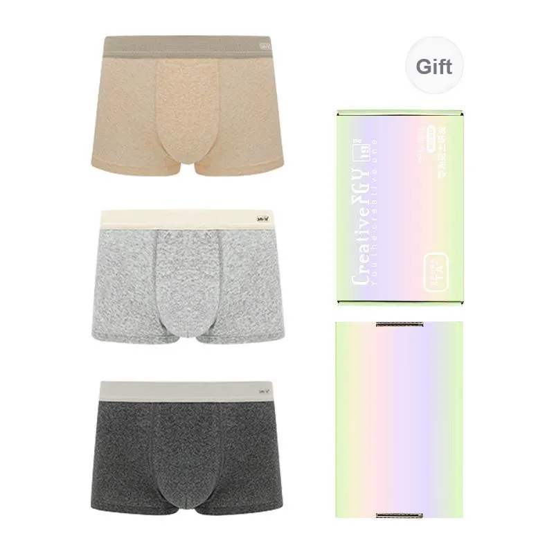 FGY FUGUYU Underwear Gift Box Men's Box 3 Pack-7