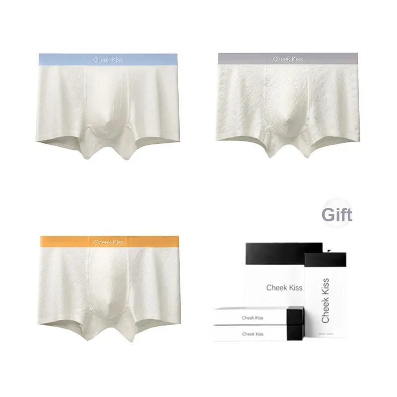 Cheekkiss Underpants Men's Box 4 Pack-19
