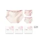 G Set: Heart Wings+Pink Letter+Oil Paintings Heart