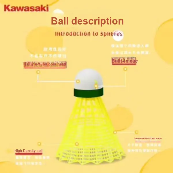 Kawasaki Shuttlecocks-4