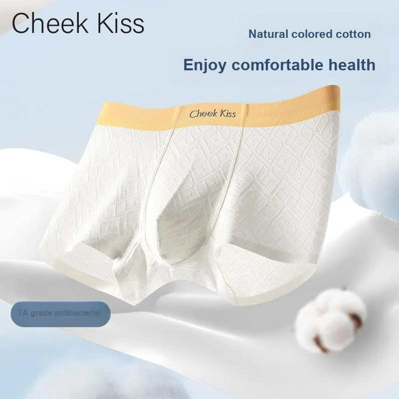 Cheekkiss Underpants Men's Box 3 Pack-12