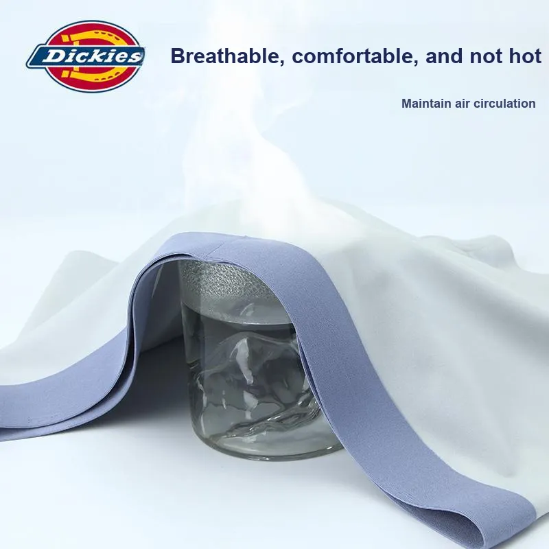 Dickies Underpants Men's Box 3 Pack-17