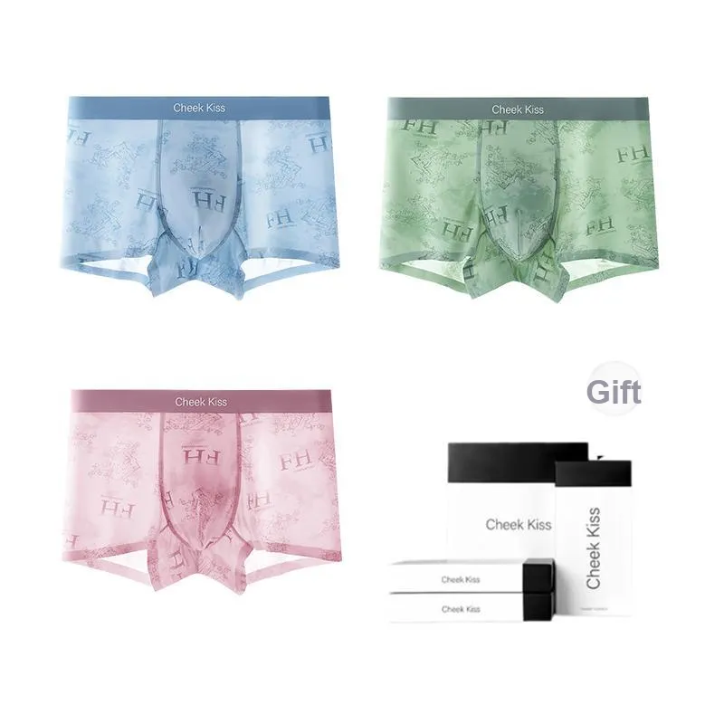 Cheekkiss Underpants Men's Box 4 Pack-29