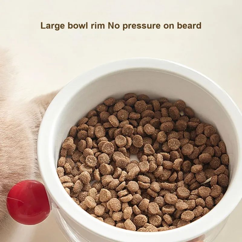 Kimpets Cat And Dog Bowls & Slow Feeder Bowls-6