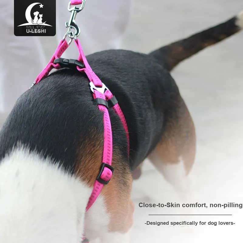 Younice Dog / Cat Collars-1