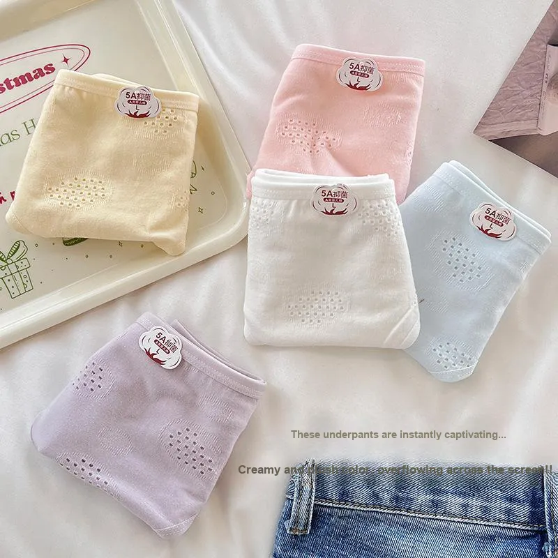 Herbal Primer Underpants Women's 4 Pack-3