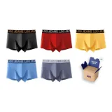 Box 5 Pack (Black+Blue+Red+Yellow+Gray)