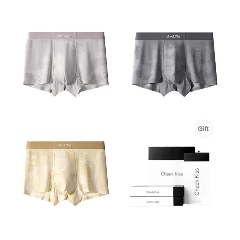 Cheekkiss Underwear Gift Boxes Men's 3 Pack-19