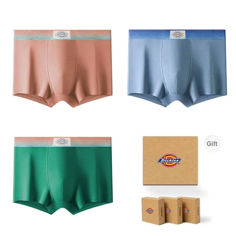 Dickies Underpants Men's Gift Box Combination-34