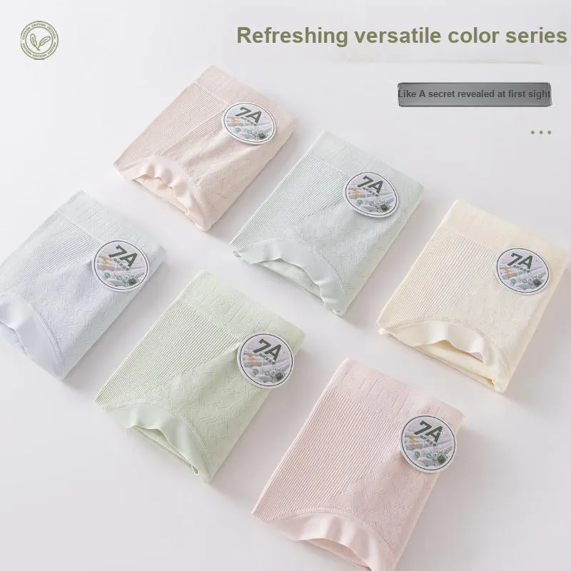 GRACEWELL Underpants Women's 3 Pack-11